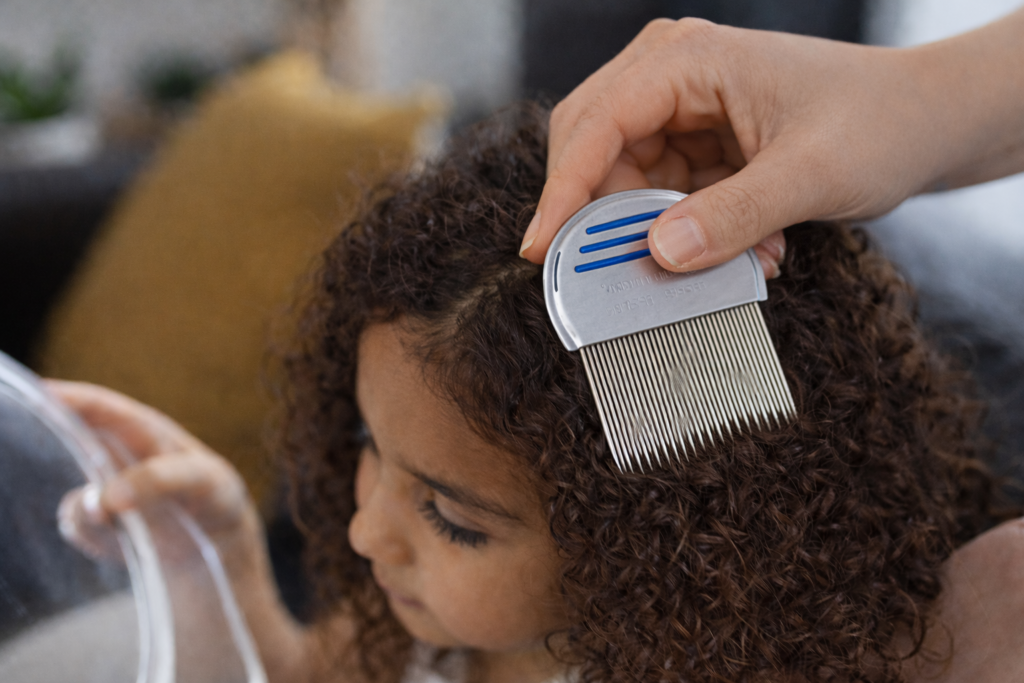 Peigne à poux sur cheveux bouclés.